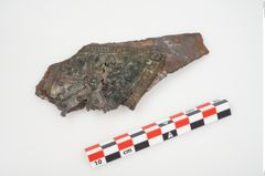 Foto von Bimetallgürtelhaken (NHMW-PRAE-025710)